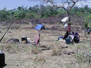 11099754_669621679830956_2146287215_n