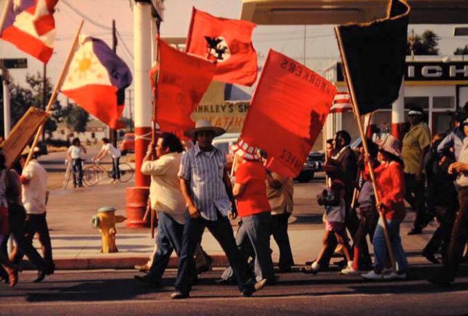 11986514_10105545192222219_8792237711705426497_n